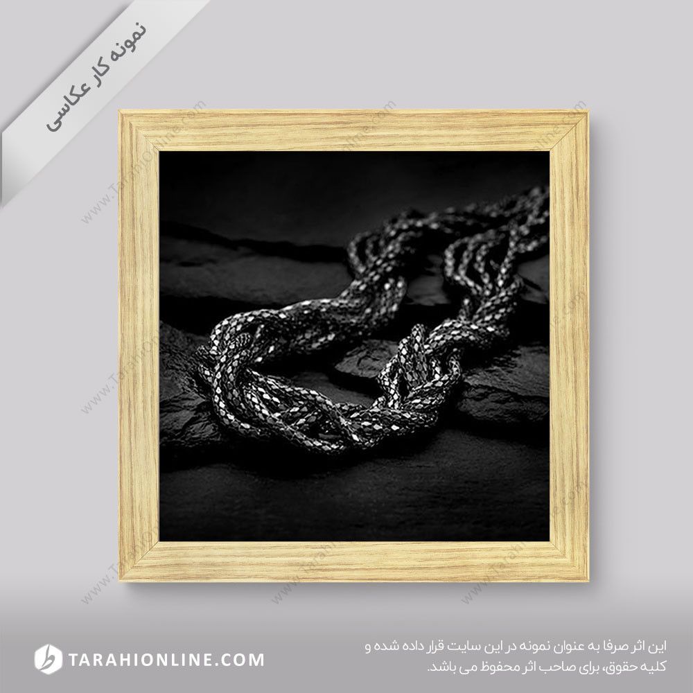 عکاسی از جواهرات - گردنبند نقره 5